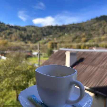 в садибі черемош * Krivorovnya