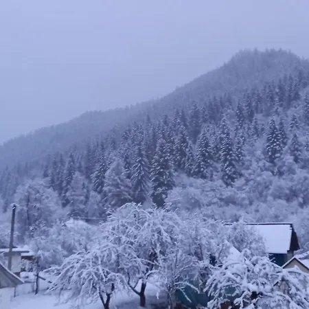в садибі черемош Holiday home *