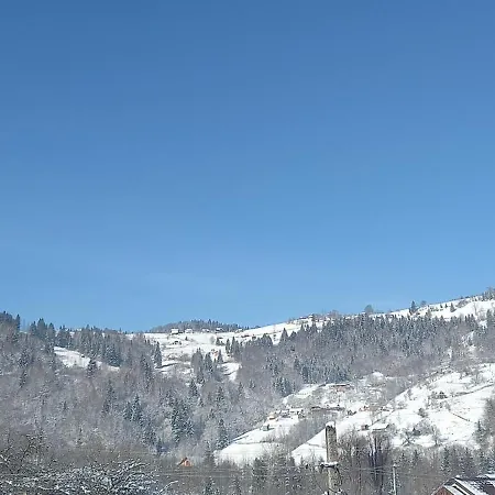 в садибі черемош * Krivorovnya