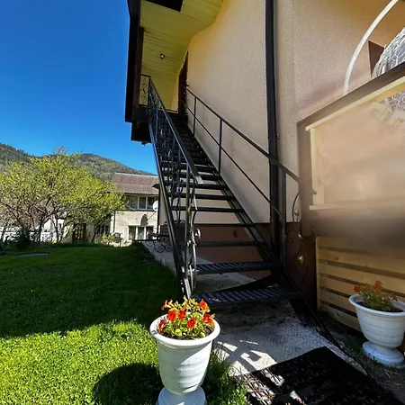 Ferienhaus в садибі черемош Krivorovnya