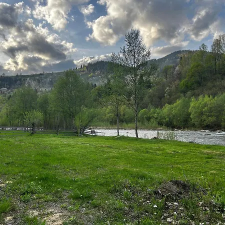 в садибі черемош Krivorovnya