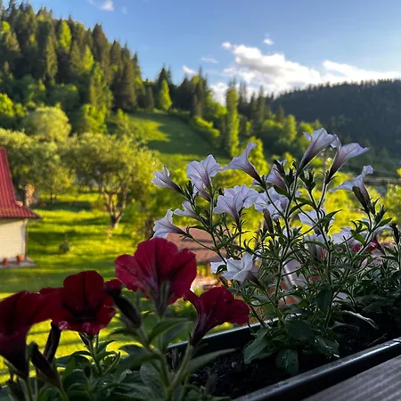 в садибі черемош Holiday home Krivorovnya