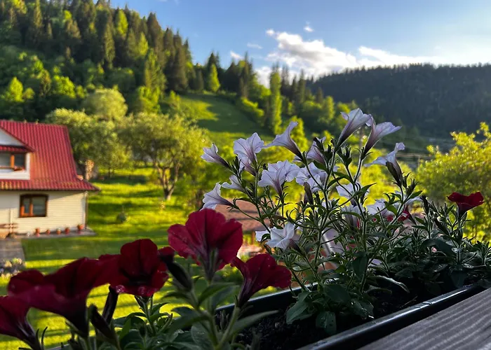 в садибі черемош Holiday home Krivorovnya